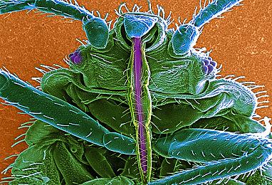 《星刃》总监给公司每人送了一台PS5 妻子靓照曝光